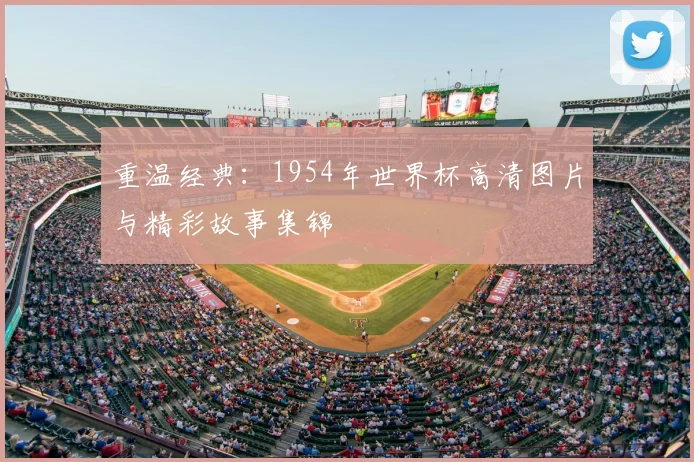重温经典：1954年世界杯高清图片与精彩故事集锦